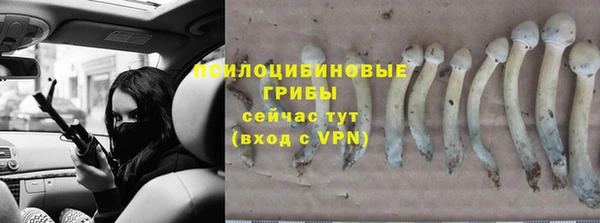 бутират Богородицк