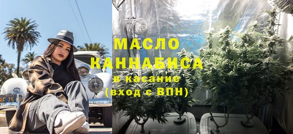 прущие грибы Богданович