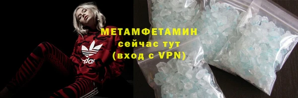прущие грибы Богданович