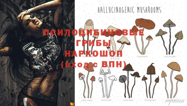 спиды Бронницы