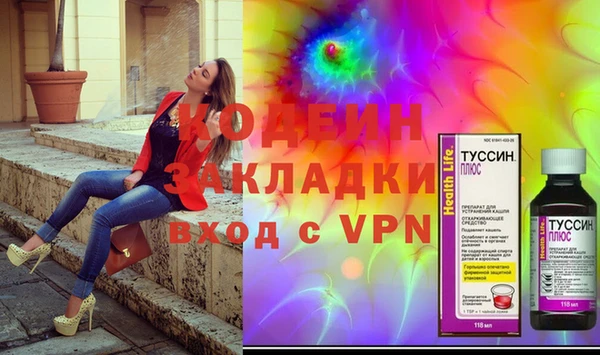 прущие грибы Богданович