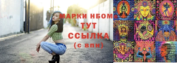 прущие грибы Богданович