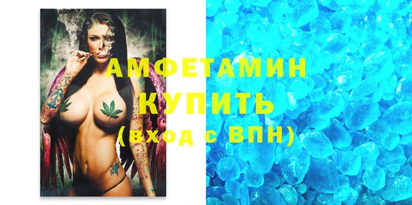 прущие грибы Богданович