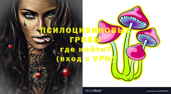 спиды Бронницы