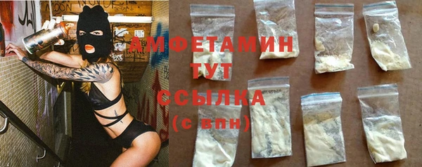 прущие грибы Богданович