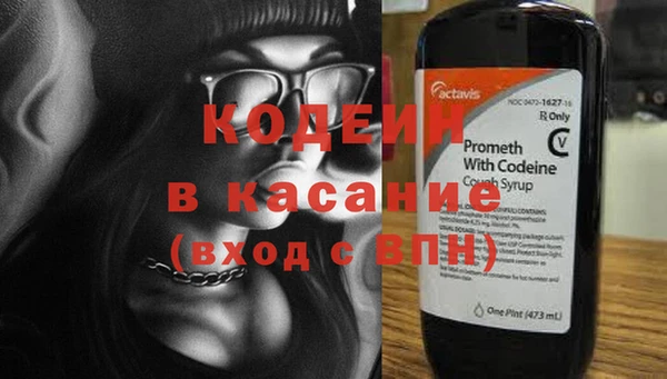 прущие грибы Богданович