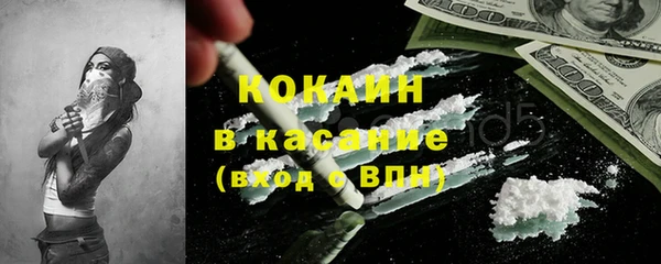 прущие грибы Богданович