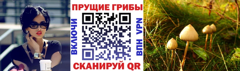 Галлюциногенные грибы мицелий  Купить закладки  Мышкин 